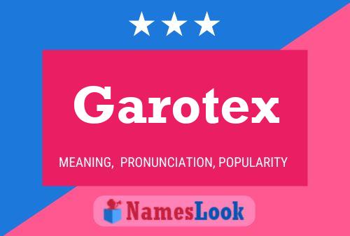 Pôster do nome Garotex