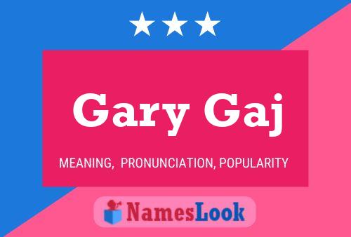 Pôster do nome Gary Gaj