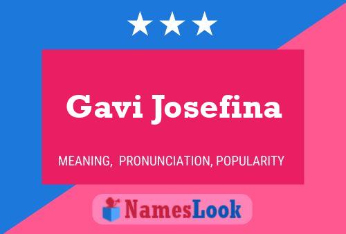 Pôster do nome Gavi Josefina