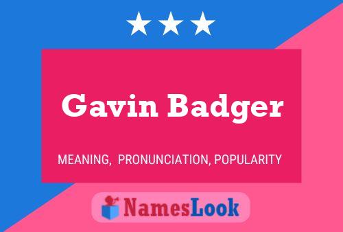 Pôster do nome Gavin Badger