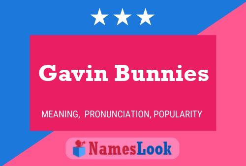 Pôster do nome Gavin Bunnies