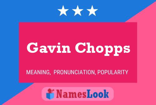 Pôster do nome Gavin Chopps