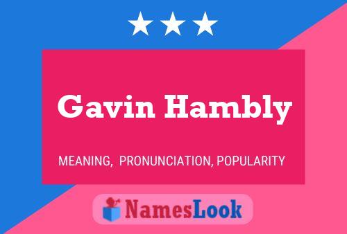 Pôster do nome Gavin Hambly