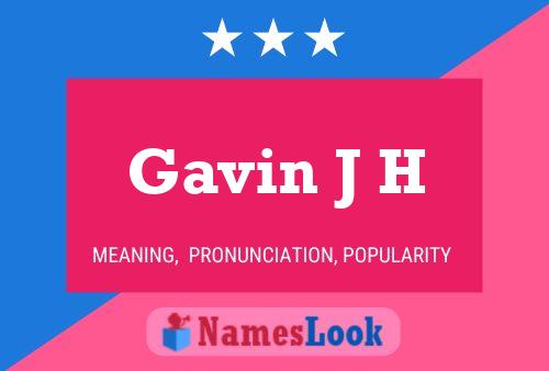 Pôster do nome Gavin J H