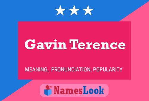 Pôster do nome Gavin Terence