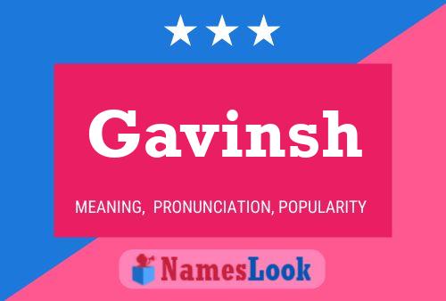 Pôster do nome Gavinsh