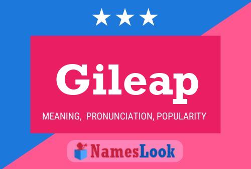 Pôster do nome Gileap