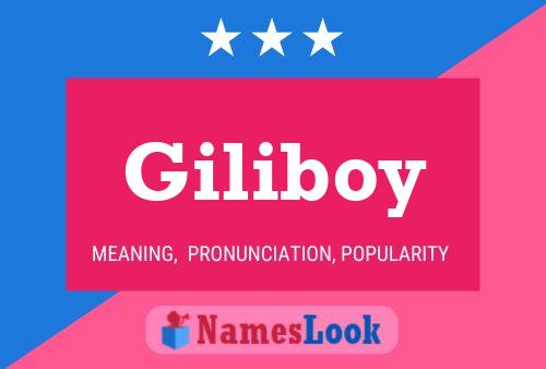 Pôster do nome Giliboy