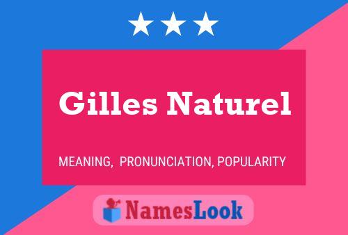 Pôster do nome Gilles Naturel