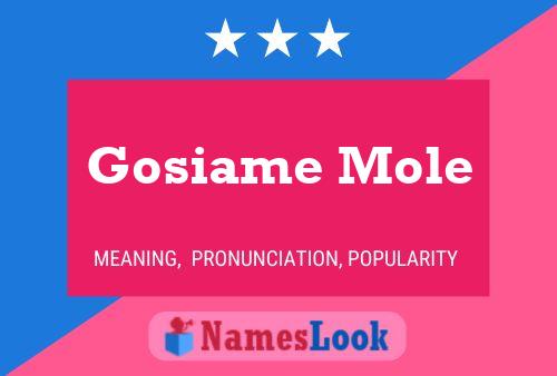 Pôster do nome Gosiame Mole