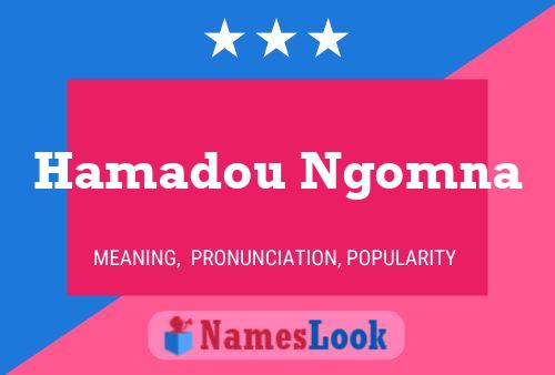 Pôster do nome Hamadou Ngomna