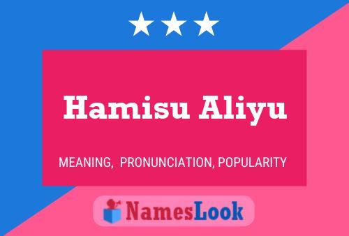 Pôster do nome Hamisu Aliyu