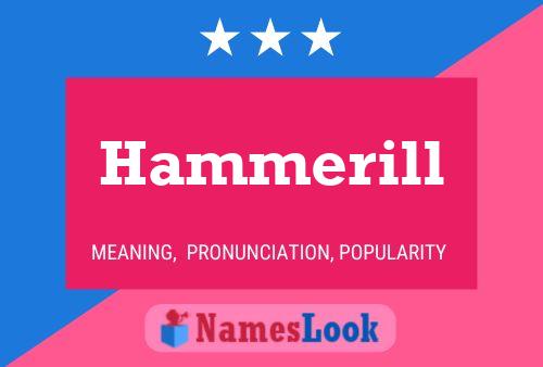 Pôster do nome Hammerill