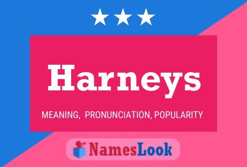 Pôster do nome Harneys