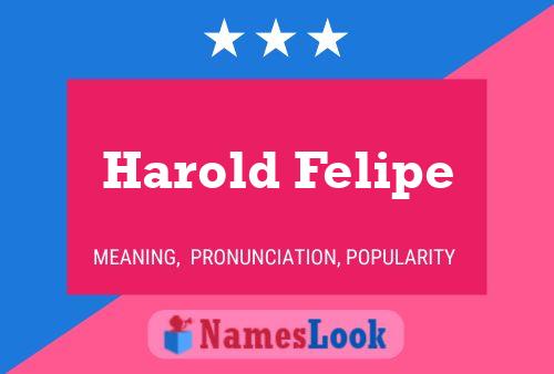 Pôster do nome Harold Felipe