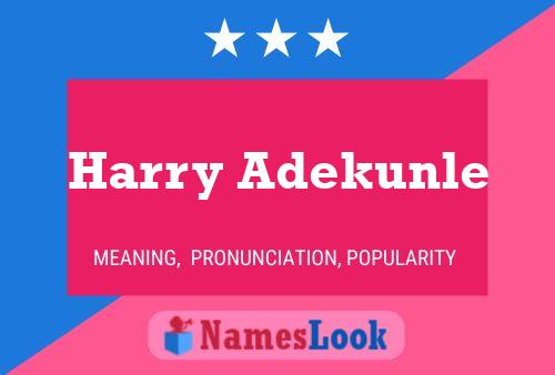 Pôster do nome Harry Adekunle