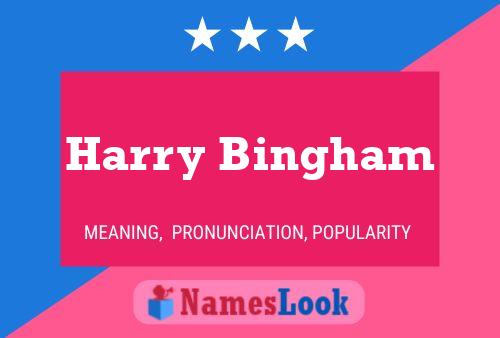 Pôster do nome Harry Bingham