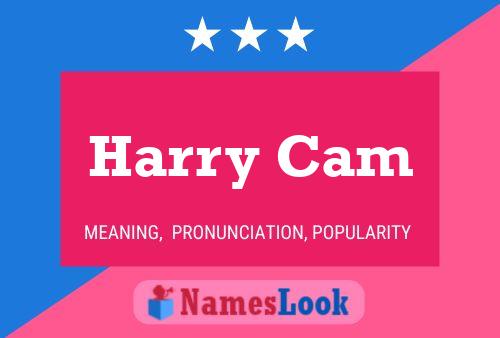 Pôster do nome Harry Cam