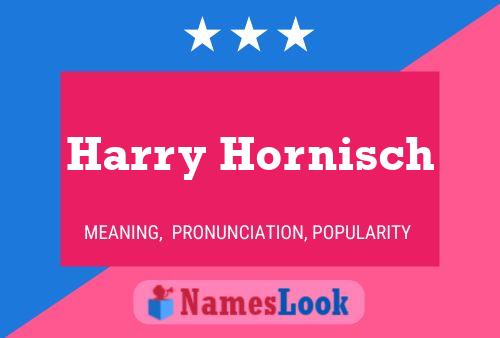 Pôster do nome Harry Hornisch