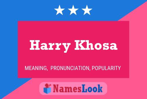 Pôster do nome Harry Khosa