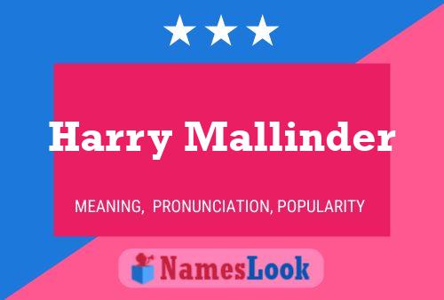 Pôster do nome Harry Mallinder