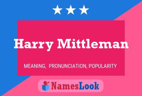 Pôster do nome Harry Mittleman