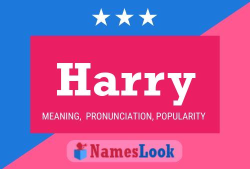 Pôster do nome Harry