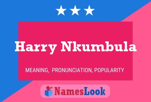 Pôster do nome Harry Nkumbula