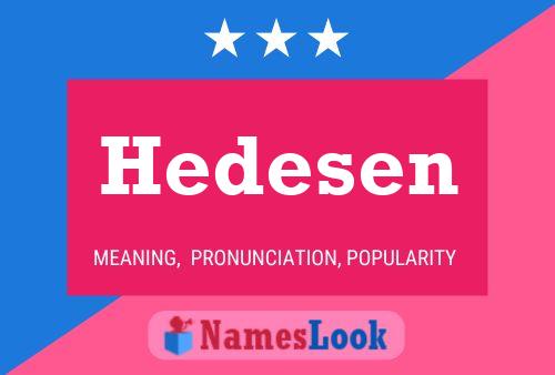 Pôster do nome Hedesen