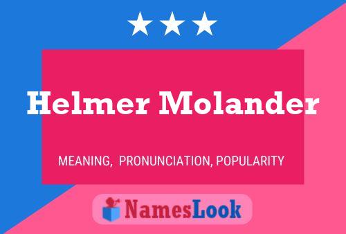 Pôster do nome Helmer Molander