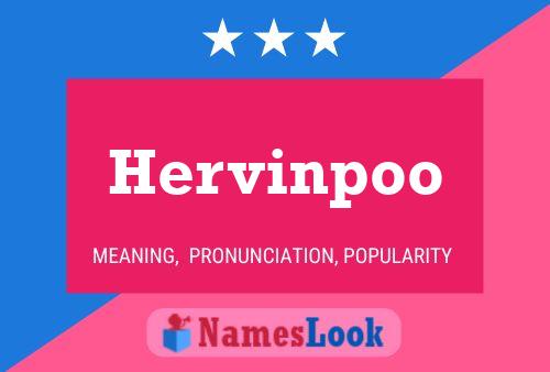 Pôster do nome Hervinpoo