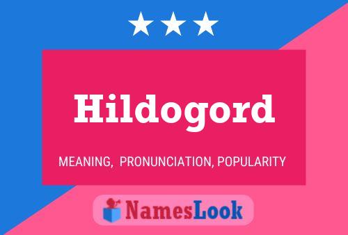 Pôster do nome Hildogord