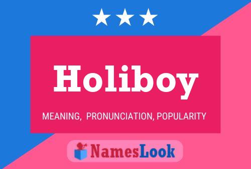 Pôster do nome Holiboy