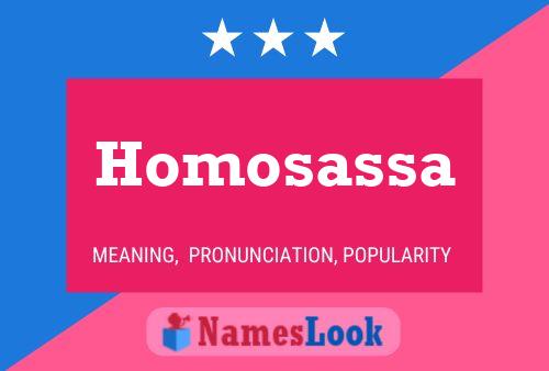 Pôster do nome Homosassa