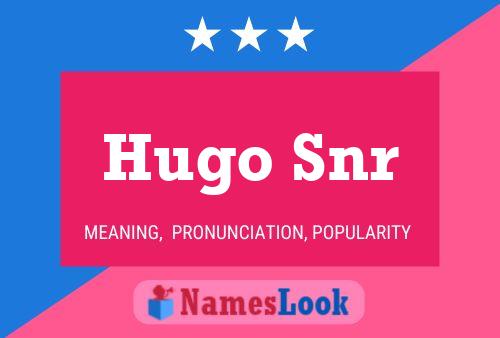 Pôster do nome Hugo Snr