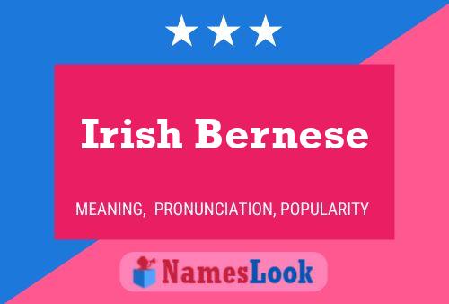 Pôster do nome Irish Bernese