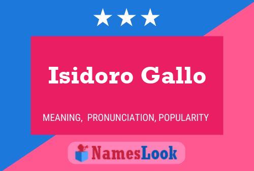 Pôster do nome Isidoro Gallo