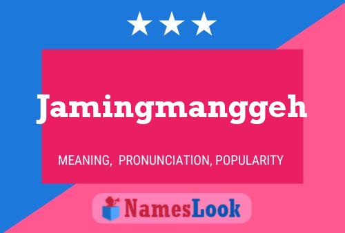 Pôster do nome Jamingmanggeh