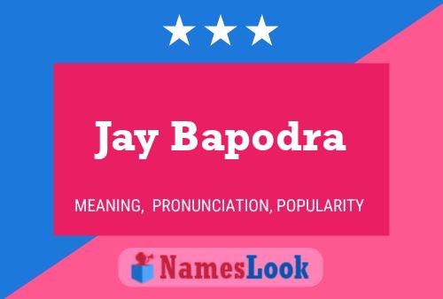 Pôster do nome Jay Bapodra