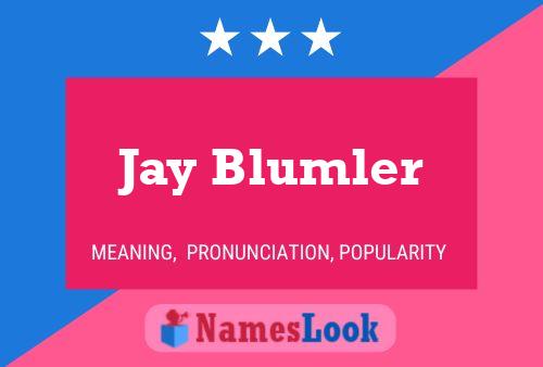 Pôster do nome Jay Blumler