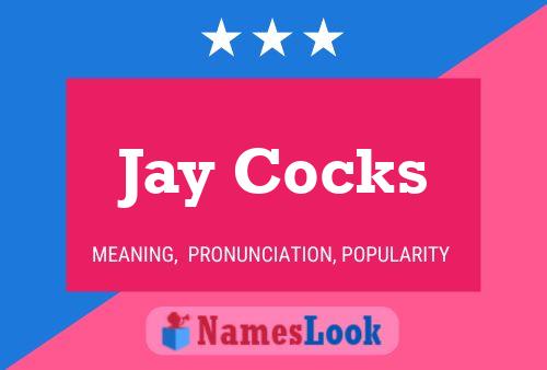 Pôster do nome Jay Cocks