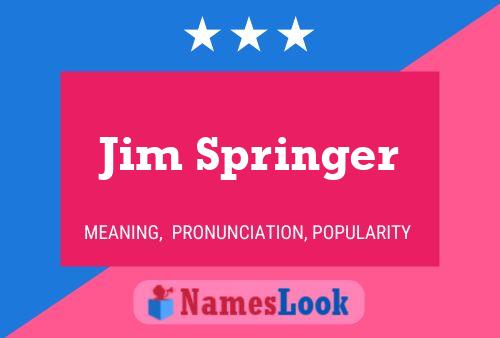 Pôster do nome Jim Springer