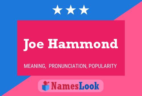 Pôster do nome Joe Hammond