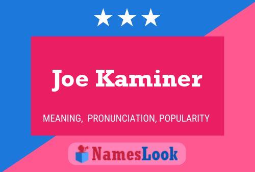 Pôster do nome Joe Kaminer