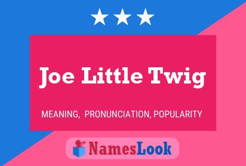 Pôster do nome Joe Little Twig