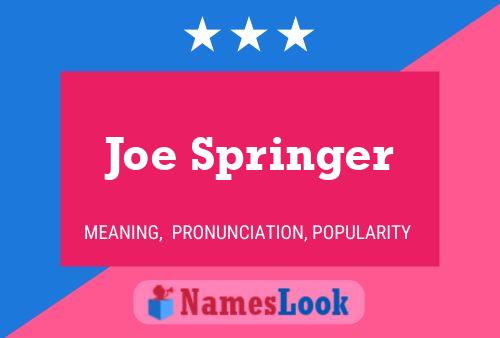 Pôster do nome Joe Springer