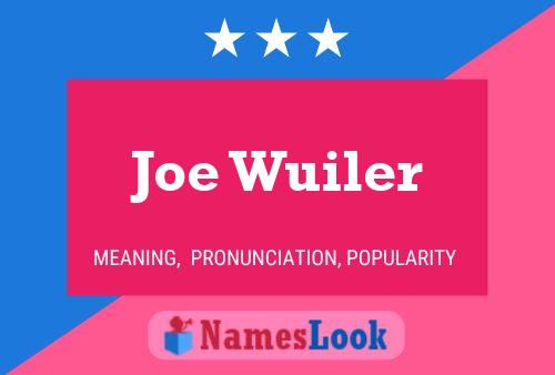 Pôster do nome Joe Wuiler