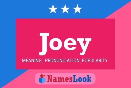 Pôster do nome Joey