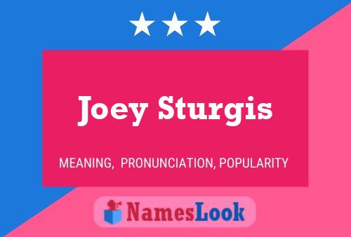 Pôster do nome Joey Sturgis