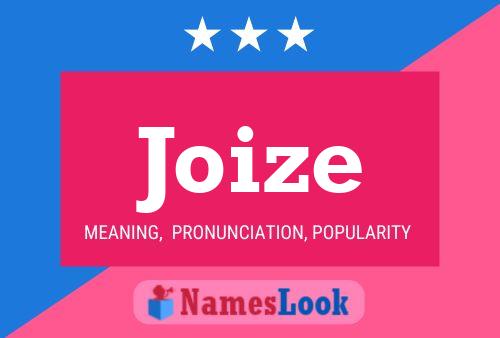 Pôster do nome Joize